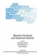 Random Surfaces and Quantum Gravity