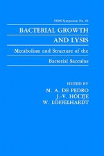 Bacterial Growth and Lysis