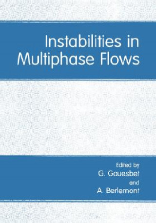 Instabilities in Multiphase Flows