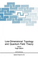 Low-Dimensional Topology and Quantum Field Theory