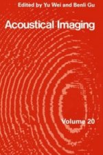 Acoustical Imaging