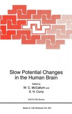 Slow Potential Changes in the Human Brain