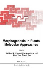 Morphogenesis in Plants