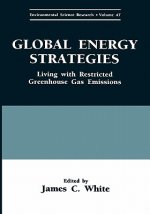 Global Energy Strategies