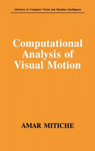 Computational Analysis of Visual Motion