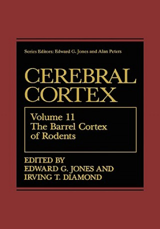 Barrel Cortex of Rodents
