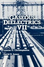 Gaseous Dielectrics VII