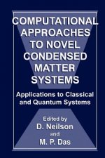 Computational Approaches to Novel Condensed Matter Systems
