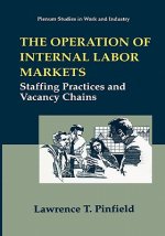Operation of Internal Labor Markets