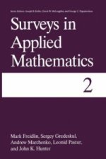 Surveys in Applied Mathematics. Vol.2