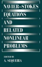 Navier-Stokes Equations and Related Nonlinear Problems
