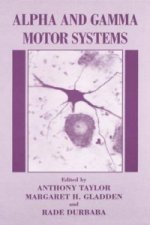 Alpha and Gamma Motor Systems