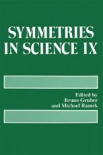 Symmetries in Science IX