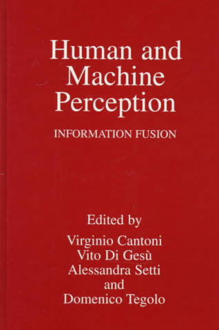 Human and Machine Perception