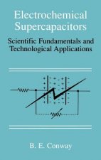 Electrochemical Supercapacitors