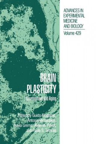 Brain Plasticity