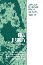 Brain Plasticity