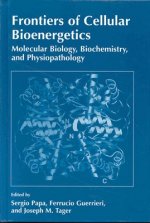 Frontiers of Cellular Bioenergetics