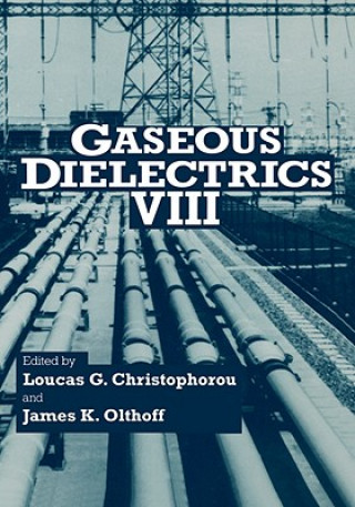 Gaseous Dielectrics VIII