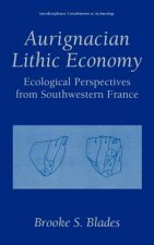 Aurignacian Lithic Economy