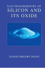 Electrochemistry of Silicon and Its Oxide