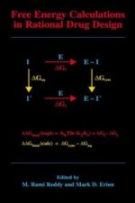Free Energy Calculations in Rational Drug Design