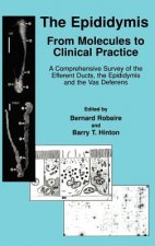 Epididymis: From Molecules to Clinical Practice