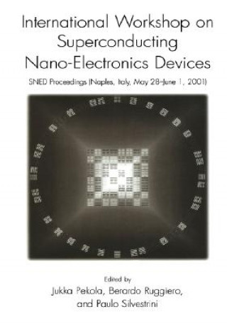 International Workshop on Superconducting Nano-Electronics Devices