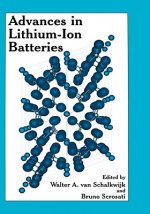 Advances in Lithium-Ion Batteries