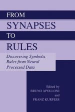 From Synapses to Rules