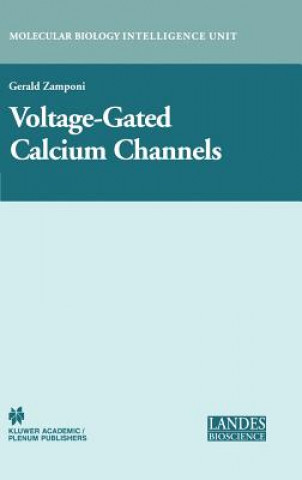 Voltage-Gated Calcium Channels