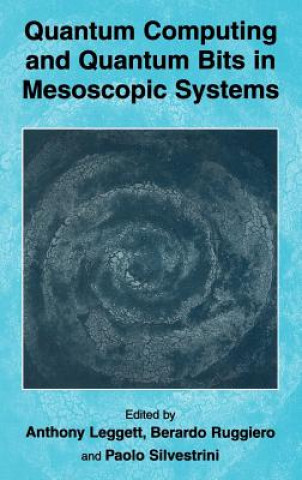 Quantum Computing and Quantum Bits in Mesoscopic Systems