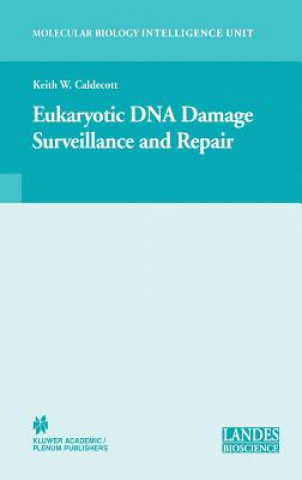 Eukaryotic DNA Damage Surveillance and Repair