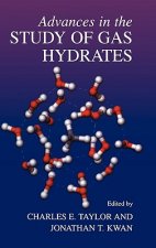 Advances in the Study of Gas Hydrates