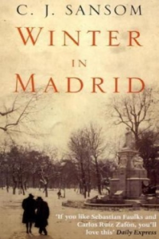 Winter in Madrid