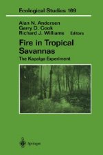 Fire in Tropical Savannas