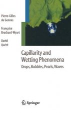 Capillarity and Wetting Phenomena
