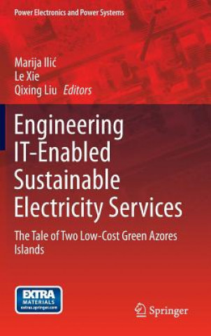 Engineering IT-Enabled Sustainable Electricity Services