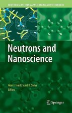 Neutrons and Nanoscience