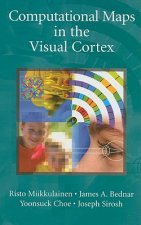 Computational Maps in the Visual Cortex