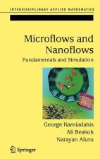 Microflows and Nanoflows