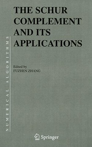 Schur Complement and Its Applications