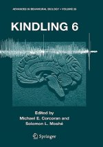 Kindling 6