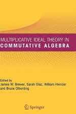 Multiplicative Ideal Theory in Commutative Algebra