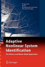 Adaptive Nonlinear System Identification