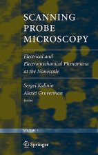 Scanning Probe Microscopy Electrical and Electromechanical Phenomena at the Nanoscale