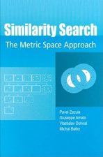 Similarity Search