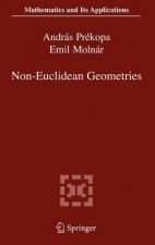 Non-Euclidean Geometries