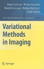 Variational Methods in Imaging