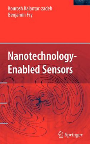 Nanotechnology-Enabled Sensors